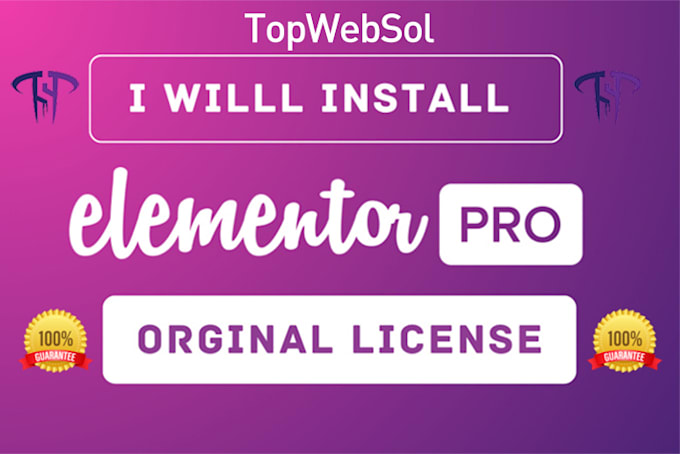 Gig Preview - Install elementor pro plugin and license original