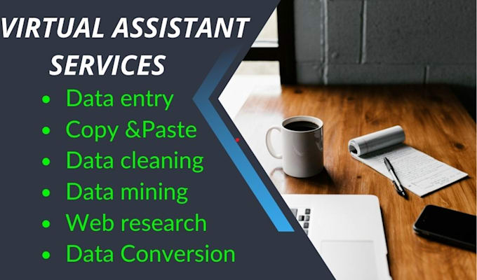 Gig Preview - Virtual assistant for data entry web research and copy paste tasks