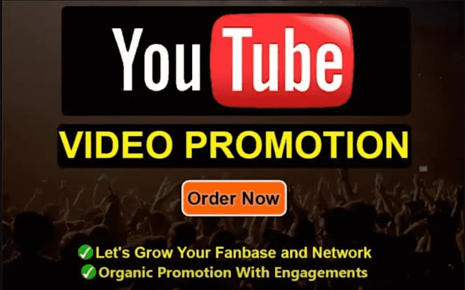 Gig Preview - Do organic targeted youtube video promotion