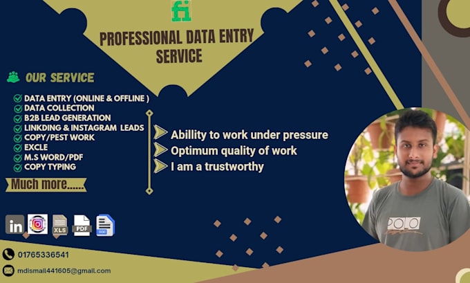 Gig Preview - Professional data entry specialist