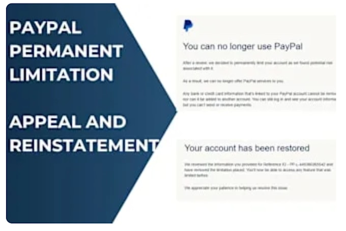 Gig Preview - Create and restore paypal limit, wise account, reinstate suspend paypal