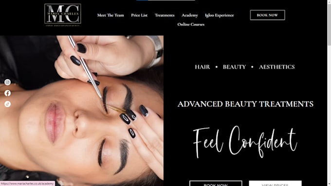 Gig Preview - Build sleek skin care website skin care shopify store beauty cosmetic store