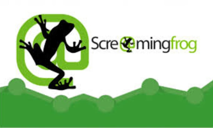 Gig Preview - Scan your entire website using screaming frog SEO spider and make a report