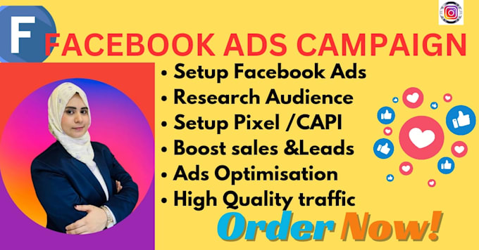 Gig Preview - Setup and manage your facebook ads campaign