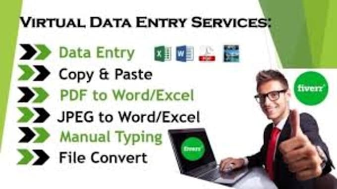 Gig Preview - Do excel data entry, copy paste, convert PDF, web research, typing, data entry