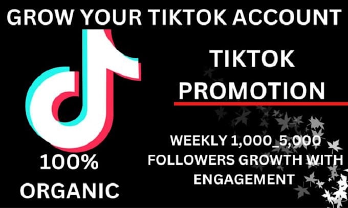 Gig Preview - Manage to set up tiktok marketing to grow audience