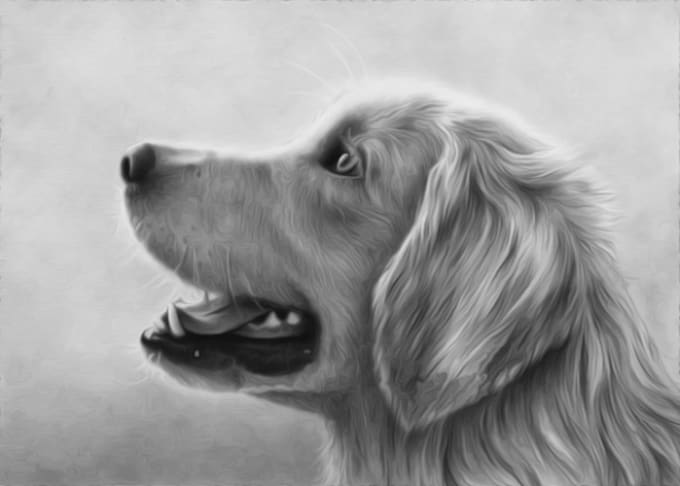 Gig Preview - Draw realistic pet portrait pencil drawing