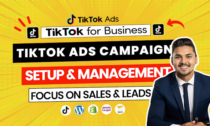 Gig Preview - Setup tik tok ads campaign, tik tok ads, manage tik tok ads video