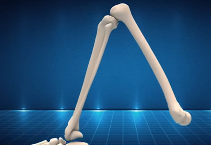 Gig Preview - Create 3d medical animation medical animation 3d animation videos