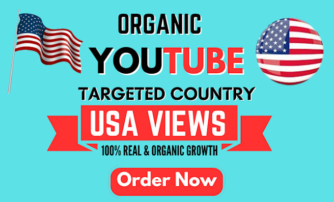 Gig Preview - Do USA youtube promotion, USA channel promotion to active audience