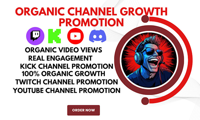 Gig Preview - Do organic youtube video and channel promotion for channel monetization