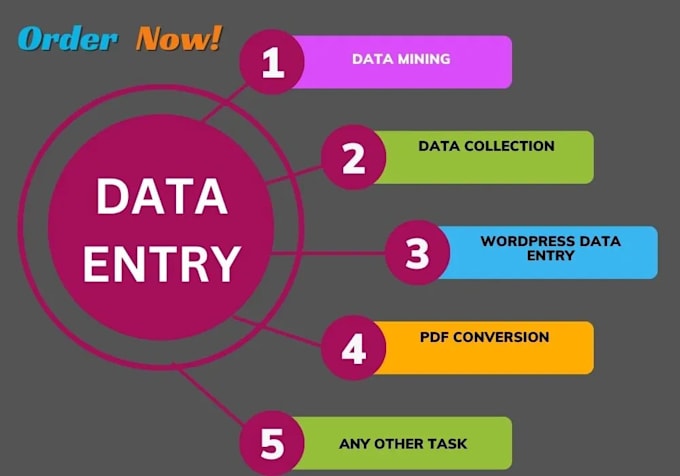 Gig Preview - Do data entry tasks for you