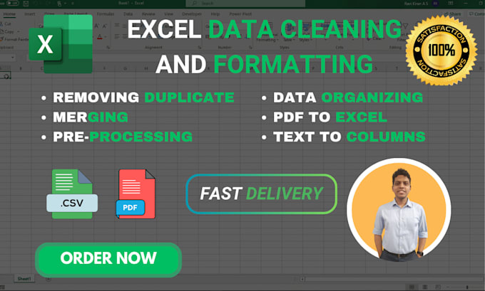 Bestseller - do excel data cleaning, analysis, formatting, or merge CSV data