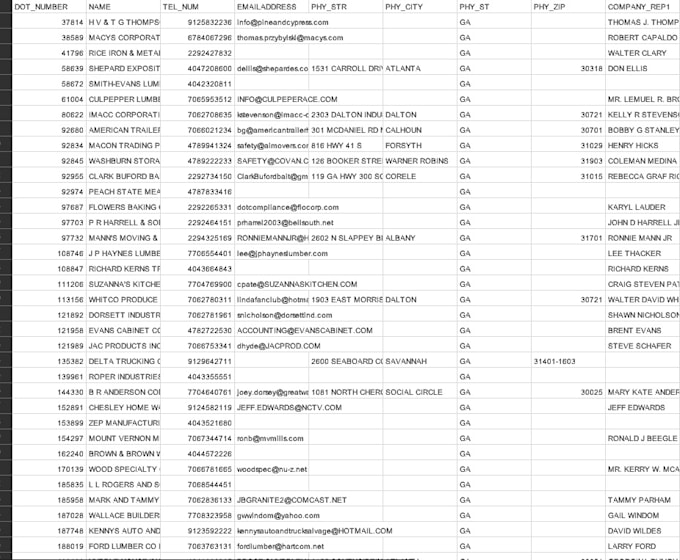 Gig Preview - Do data entry, google sheets, excel work