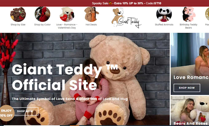 Gig Preview - Design 7 figure teddybear shopify toy store teddybear website doll store