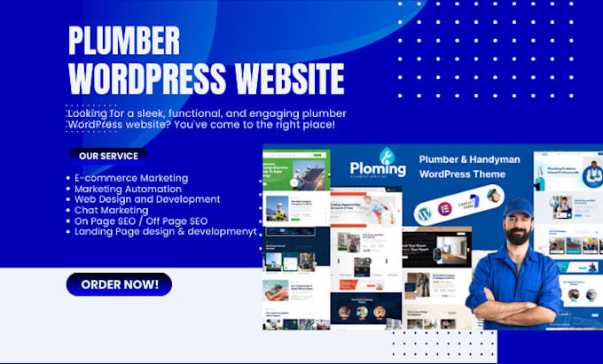 Gig Preview - Build professional plumber wordpress website development