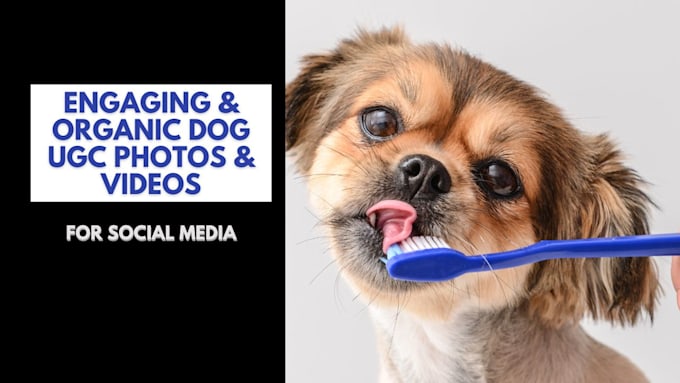 Bestseller - create cat or dog ugc content for your product pet brand