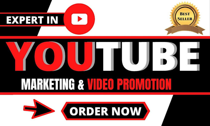 Gig Preview - Do super organic youtube video or channel promotion for monetization