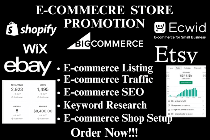 Gig Preview - Boost shopify christmas ecommerce sales via shopify ads traffic seo promotion