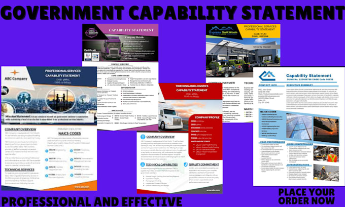 Gig Preview - Write and design federal government capability statement for government contract