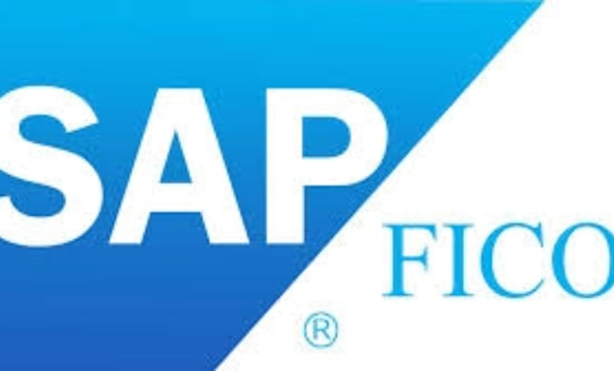 Bestseller - be your sap fico consultant