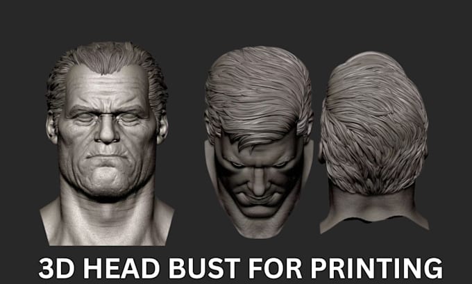 Gig Preview - Do 3d head bust 3d face 3d miniature printable model 3d likeness realistic face