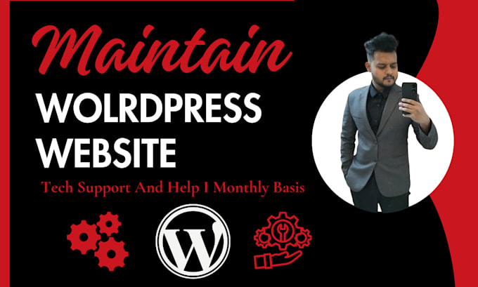 Gig Preview - Do wordpress website maintenance and wordpress help or support