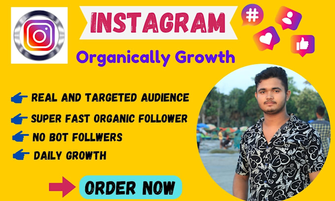 Gig Preview - Do super fast organically grow your instagram account