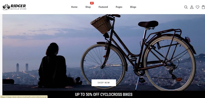 Gig Preview - Create bicycle shopify store cycling online shop bike dropshipping store