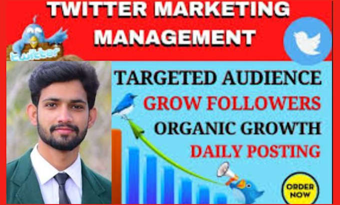 Gig Preview - Do organic x marketing, twitter ads, x promotion to get followers and engagement