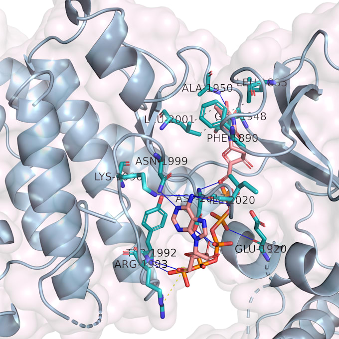 Gig Preview - Do molecular docking and drug designing