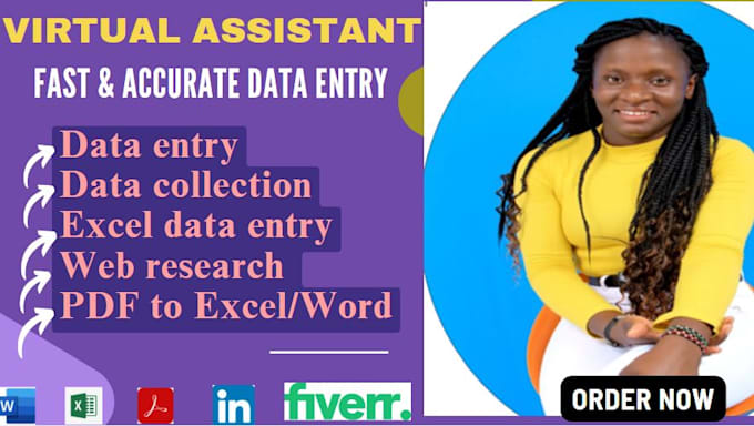 Gig Preview - Do accurate data entry, web research, copy paste and excel data entry jobs