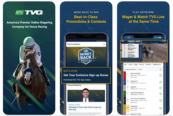 Gig Preview - Develop sport betting app, sports bet website, bet app and website development