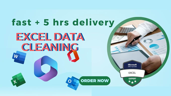 Gig Preview - Excel data cleaning and formatting expert