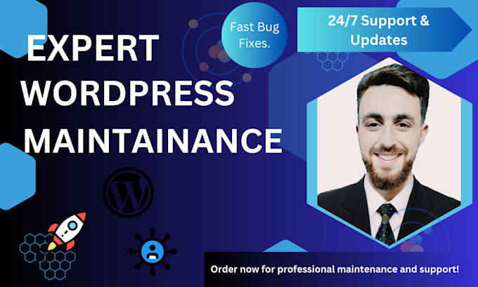 Gig Preview - Provide wordpress maintenance bug fixes updates and support