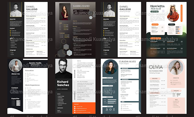 Gig Preview - Perform professional resume design and CV design