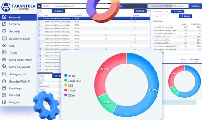 Gig Preview - Improve your website with tarantula SEO spider pro max