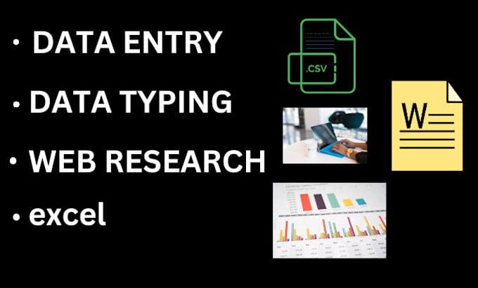 Gig Preview - Do fastest data entry in one day and internet research