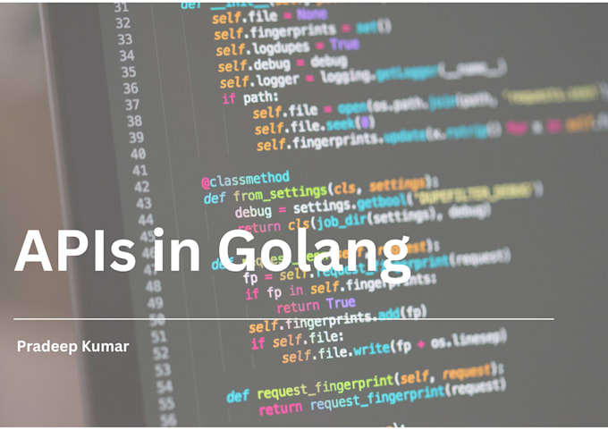 Gig Preview - Help you with smooth API integration in your golang projects