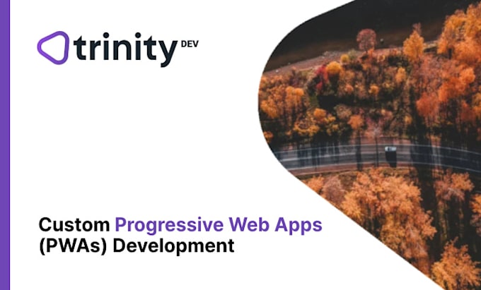 Gig Preview - Custom progressive web apps pwas development