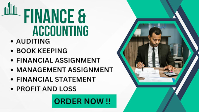 Gig Preview - Accounting and finance assignments, financial analysis finance website , leads