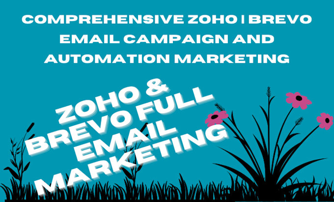 Bestseller - setup zoho campaign, brevo email campaign and automation to boost sales