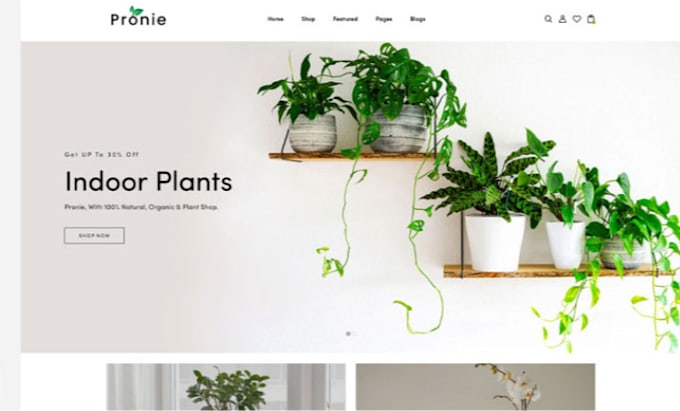 Gig Preview - Design highly profitable eco friendly shopify grocery store vegan website