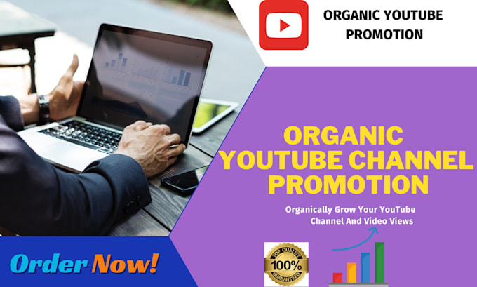 Gig Preview - Promote youtube videos organically to large audience