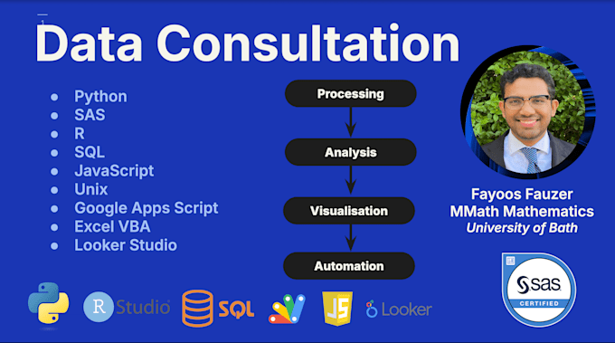 Bestseller - provide data consultation using SAS, python, r or excel vba