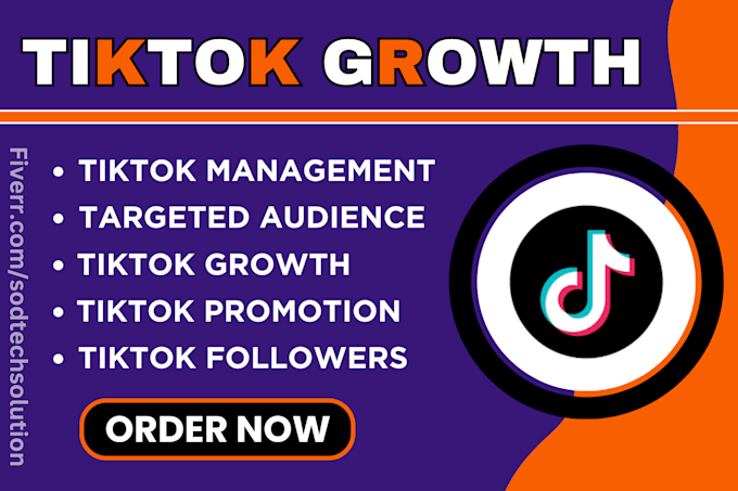 Gig Preview - Super fast organic tiktok follower growth tiktok promotion and marketing