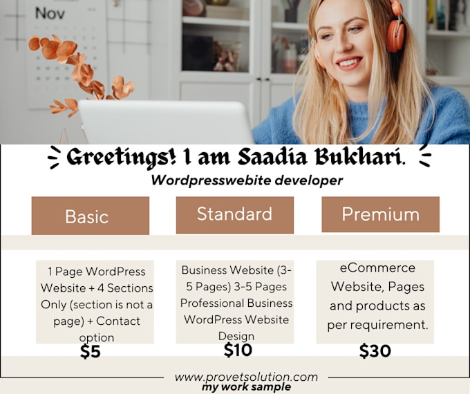 Gig Preview - Make a professional wordpress website that is responsive and SEO friendly