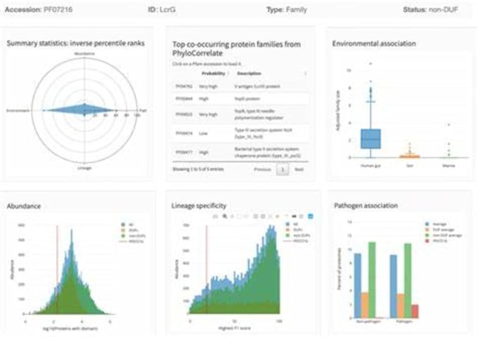 Gig Preview - Create an interactive streamlit dashboard for your data