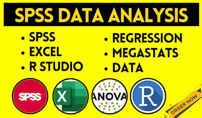 Gig Preview - Do statistical data analysis with spss, r, or excel