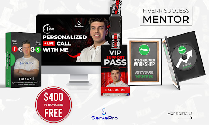 Gig Preview - Consult, coach, and mentor you to optimize your fiverr gig, title, description